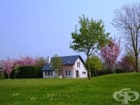 ��������� � ������ ���� �� ��-�������� � � ��-����� ������